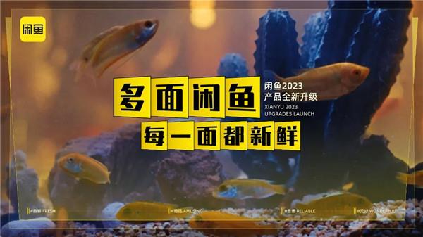 闲鱼9年  与用户共同搭建一个新鲜好逛的多面生活场