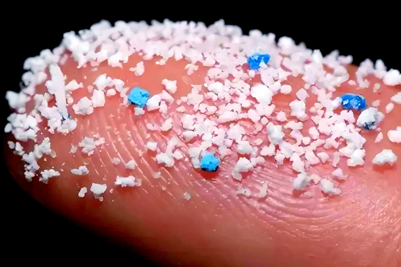 微塑料“入侵”:真相、争议与行动