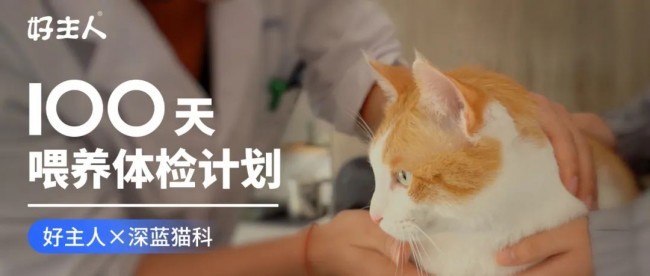 好主人100天喂养计划成功收官 分阶主粮引领精细化养宠趋势
