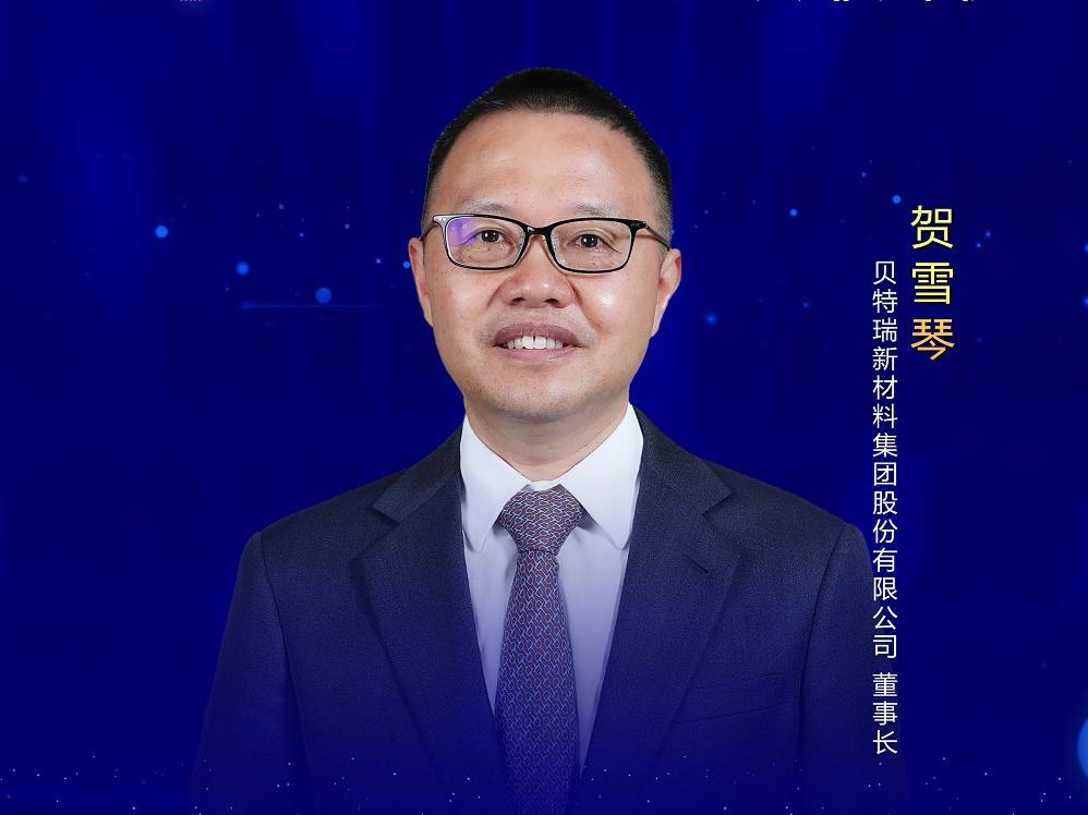 贺雪琴:产业上下游携手强链打造核心竞争力,应对动力电池的挑战