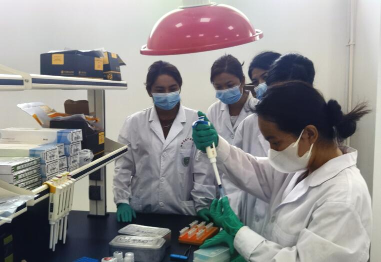 农业科技创新加＂料＂  新疆伽师新梅变乡村振兴＂金＂果