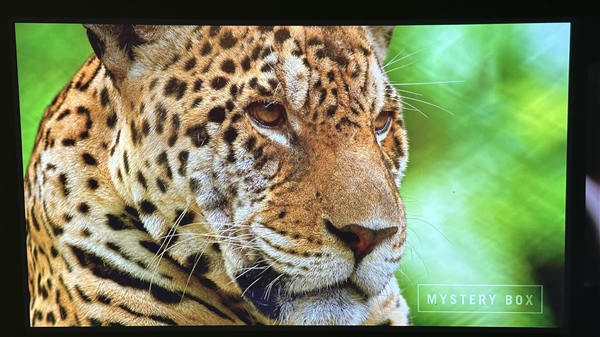 6000左右的家用投影仪 当贝F6明星产品 华为海思芯片助力8K解码