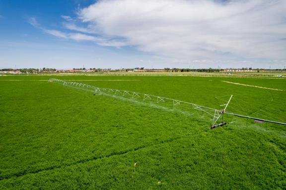 蒙牛不忘初心“强乳兴农” 探索产业振兴助力乡村振兴新路径(图2)