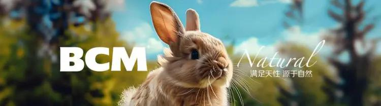 BCM 低敏益生菌兔粮：肠胃脆弱兔子的福音，改善兔兔肠胃健康！(图13)