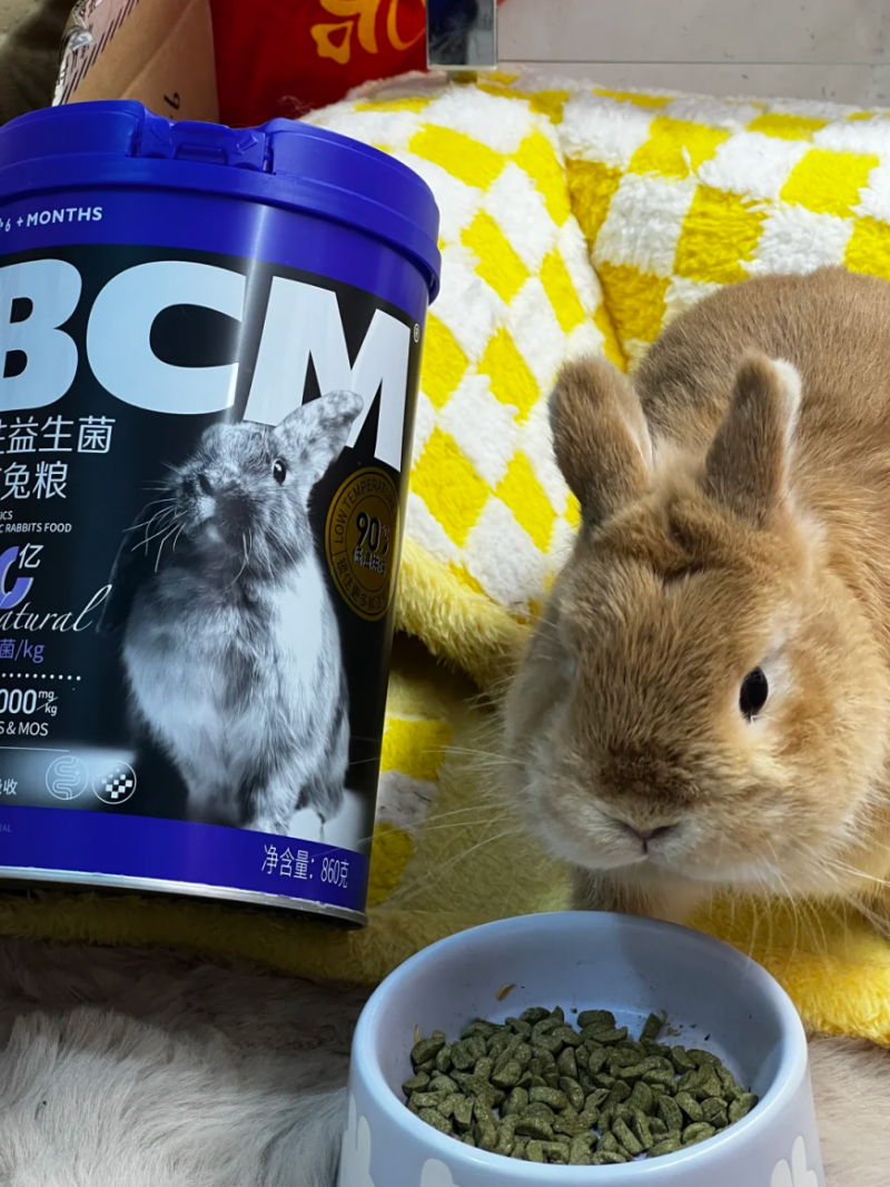 BCM 低敏益生菌兔粮：肠胃脆弱兔子的福音，改善兔兔肠胃健康！(图11)