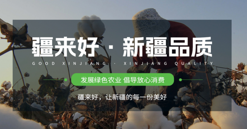 新疆疆来好电子商务有限公司是一家立足新疆，面向全国乃至全球的综合性电子商务企业。(图1)