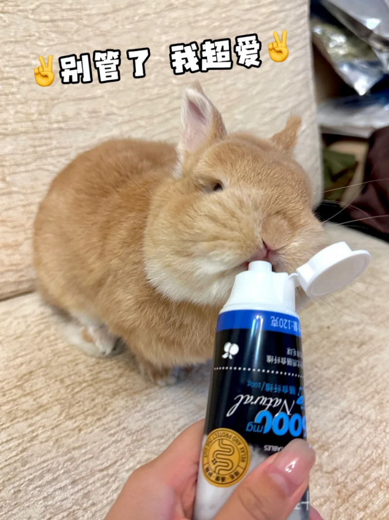 宠物兔的健康卫士——BCM引领高纤化毛新时代(图11)