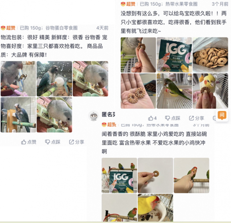 6 月上新、亚宠展售罄！IGG 鹦鹉零食圈凭实力火出圈(图4)