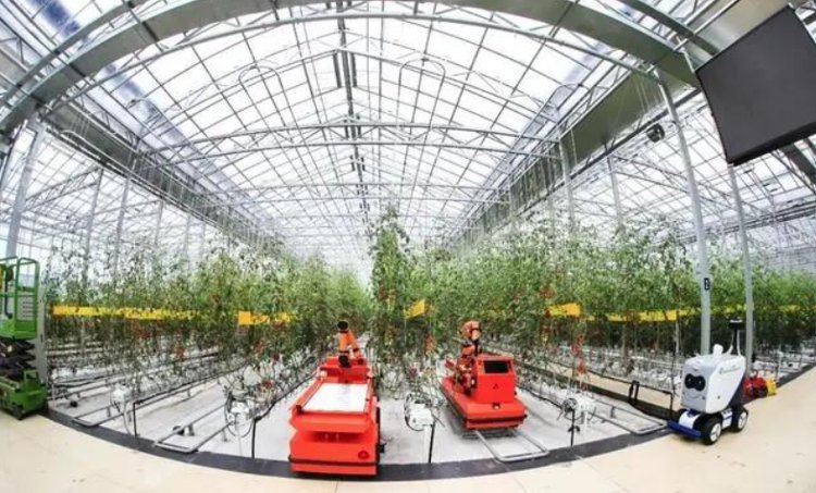 观澜亭丨青岛是“龙头”，“龙颈”在哪里？